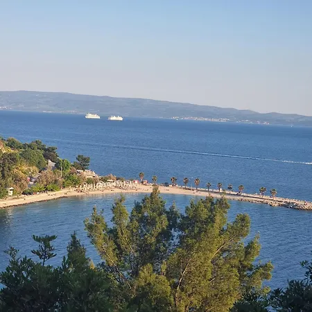 Center D16 In The Ancient Palace *